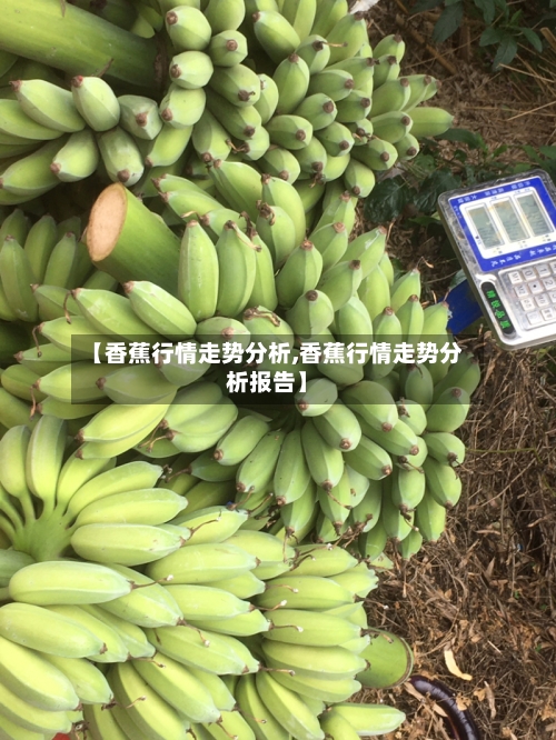 【香蕉行情走势分析,香蕉行情走势分析报告】