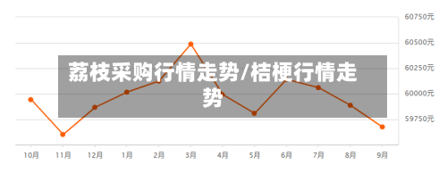 荔枝采购行情走势/桔梗行情走势