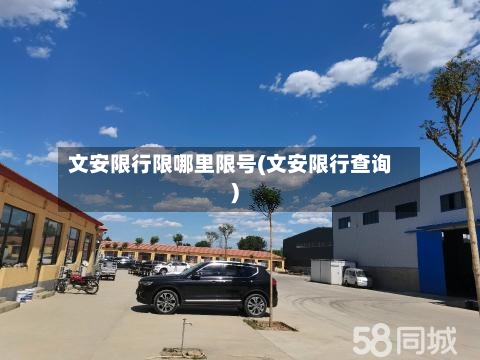 文安限行限哪里限号(文安限行查询)