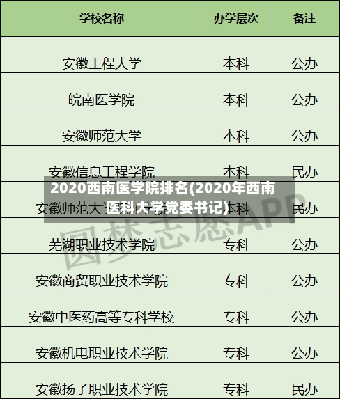 2020西南医学院排名(2020年西南医科大学党委书记)