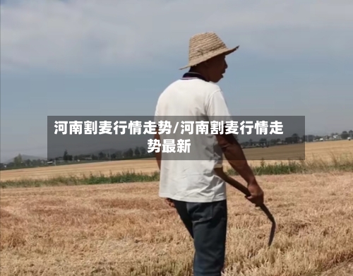 河南割麦行情走势/河南割麦行情走势最新