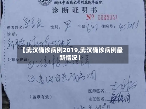 【武汉确诊病例2019,武汉确诊病例最新情况】