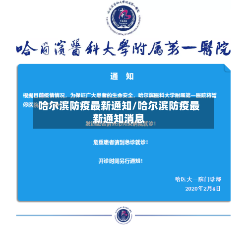 哈尔滨防疫最新通知/哈尔滨防疫最新通知消息