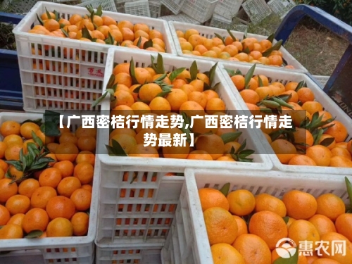 【广西密桔行情走势,广西密桔行情走势最新】