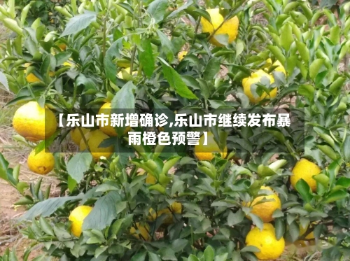 【乐山市新增确诊,乐山市继续发布暴雨橙色预警】