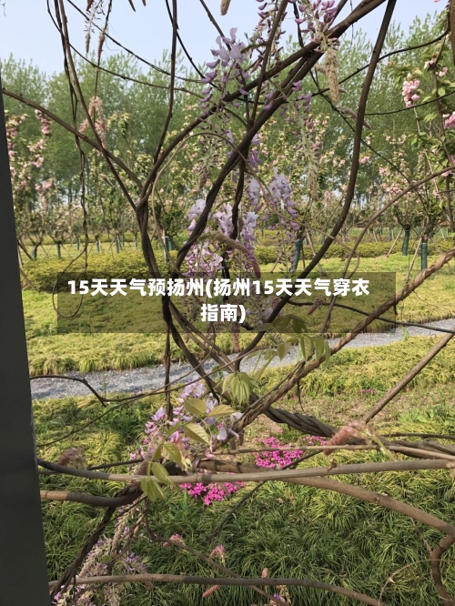 15天天气预扬州(扬州15天天气穿衣指南)