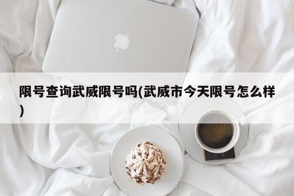 限号查询武威限号吗(武威市今天限号怎么样)