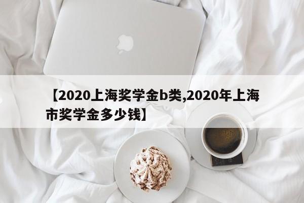 【2020上海奖学金b类,2020年上海市奖学金多少钱】