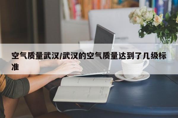 空气质量武汉/武汉的空气质量达到了几级标准