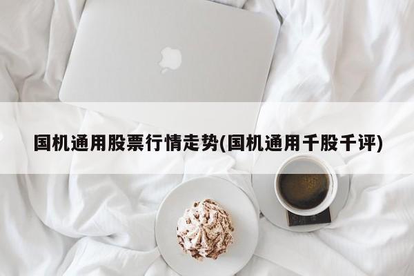 国机通用股票行情走势(国机通用千股千评)
