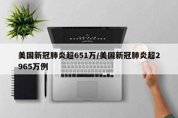 美国新冠肺炎超651万/美国新冠肺炎超2965万例
