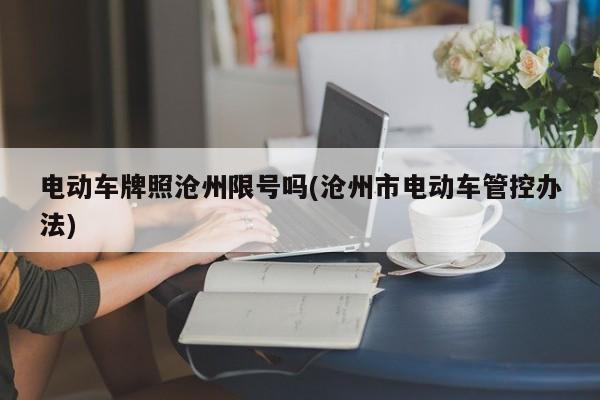 电动车牌照沧州限号吗(沧州市电动车管控办法)
