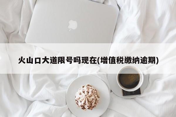 火山口大道限号吗现在(增值税缴纳逾期)