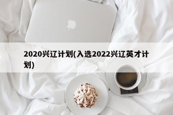 2020兴辽计划(入选2022兴辽英才计划)