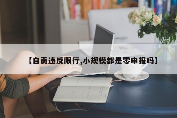 【自贡违反限行,小规模都是零申报吗】