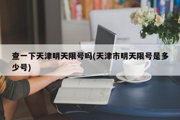 查一下天津明天限号吗(天津市明天限号是多少号)