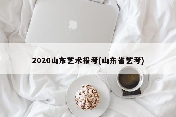 2020山东艺术报考(山东省艺考)