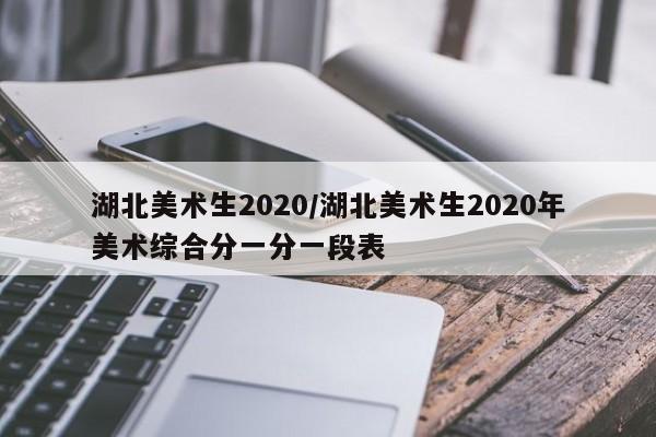 湖北美术生2020/湖北美术生2020年美术综合分一分一段表
